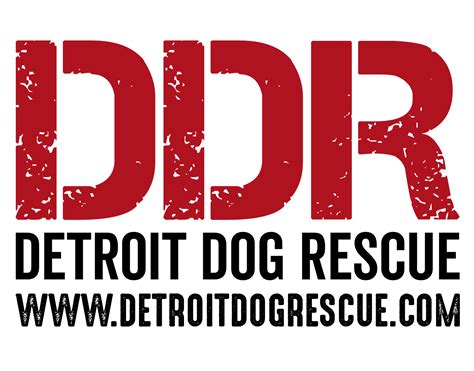Detroit dog rescue - Detroit Dog Rescue is a nonprofit organization that saves and rehomes homeless and abused dogs in Detroit. Learn how you can adopt, foster, donate, volunteer, or shop for …